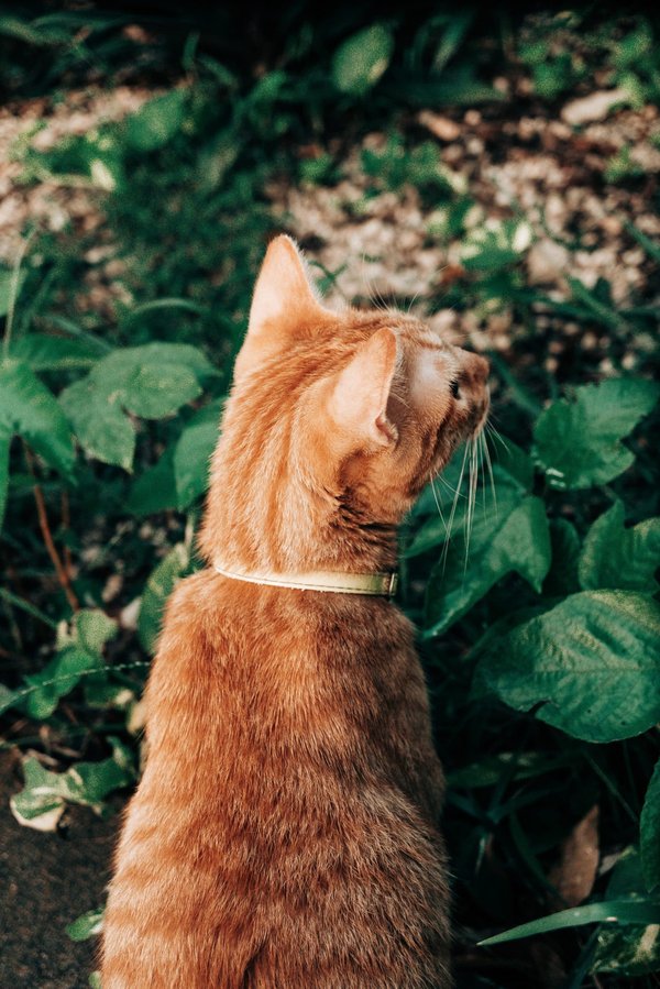 Come creare un angolo lettura all'aperto per godere delle belle giornate?