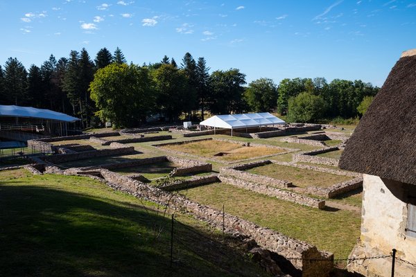 Quali sono i migliori libri per una lettura leggera e divertente durante le vacanze?